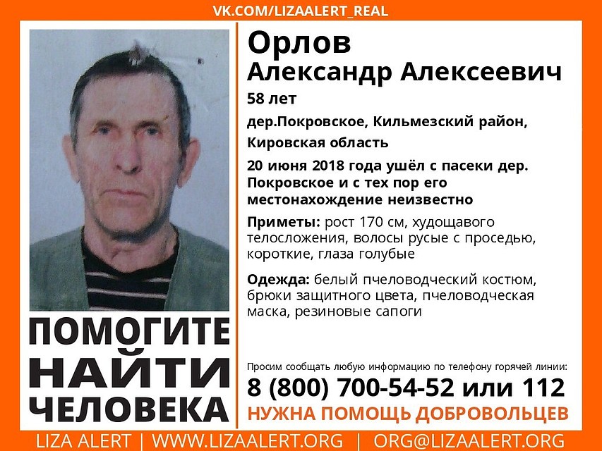 В Кильмезском районе разыскивают пчеловода. Фото: vk.com/lizaalert_kirov.