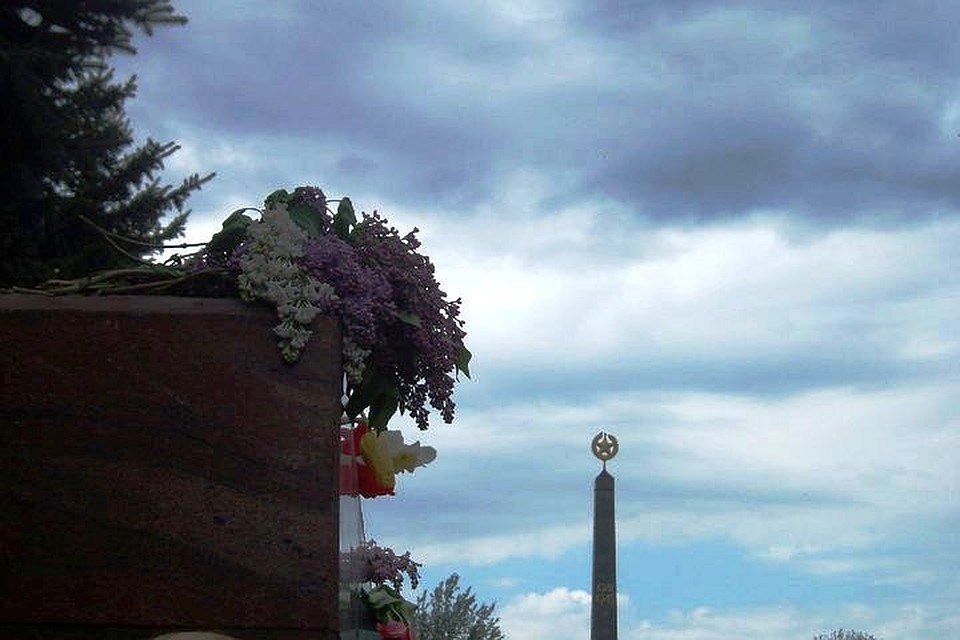 Курск ждет насыщенная программа