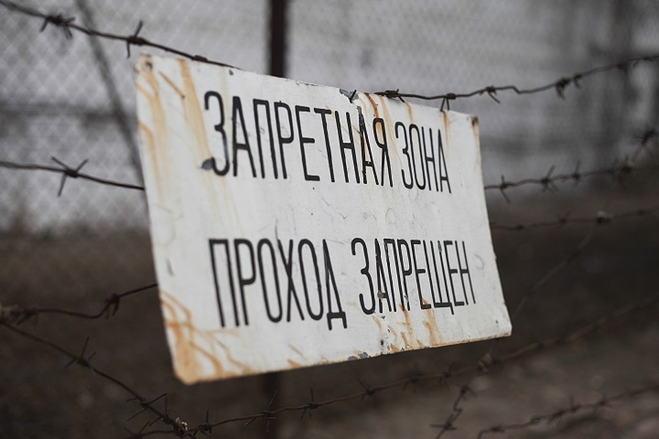 Меломану грозит до 10 лет тюрьмы