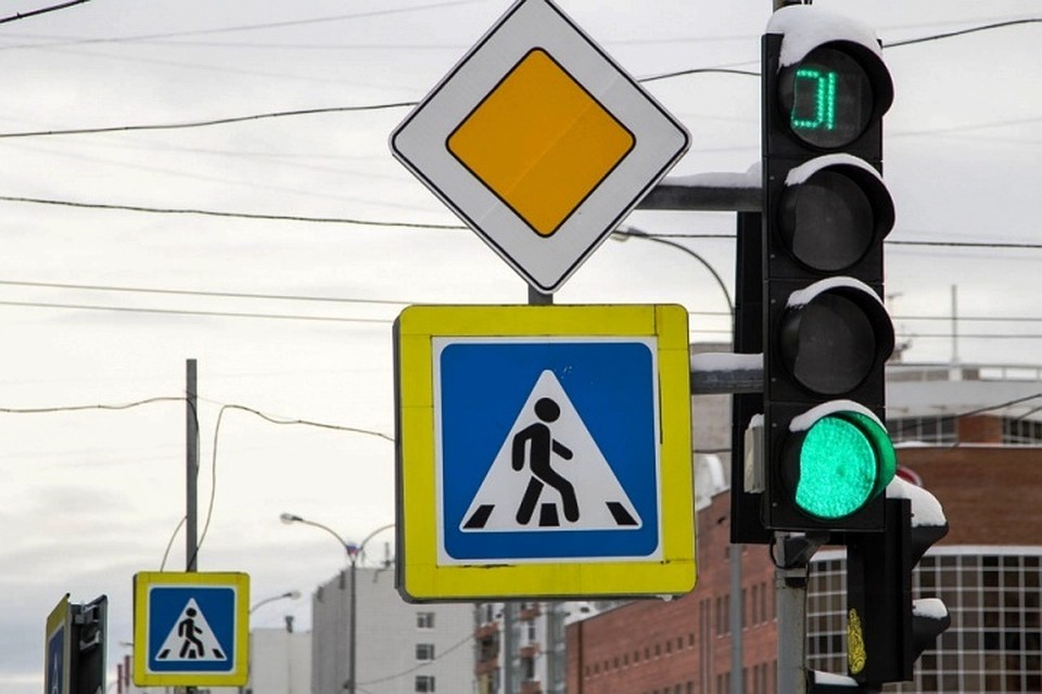 Фото: 29.ru