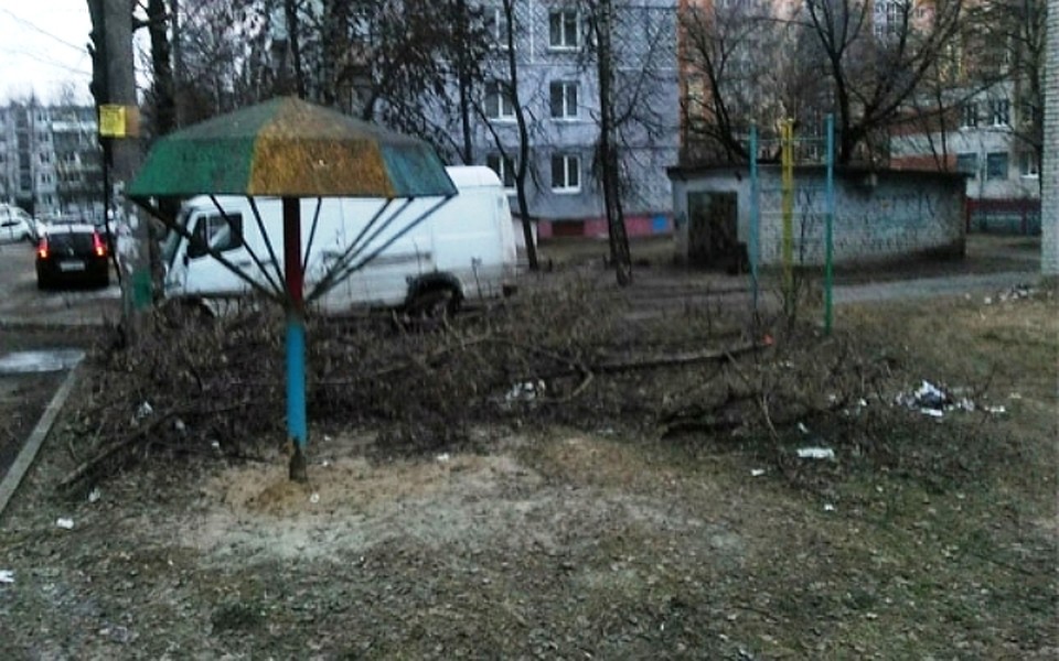 Фото: Соцсети