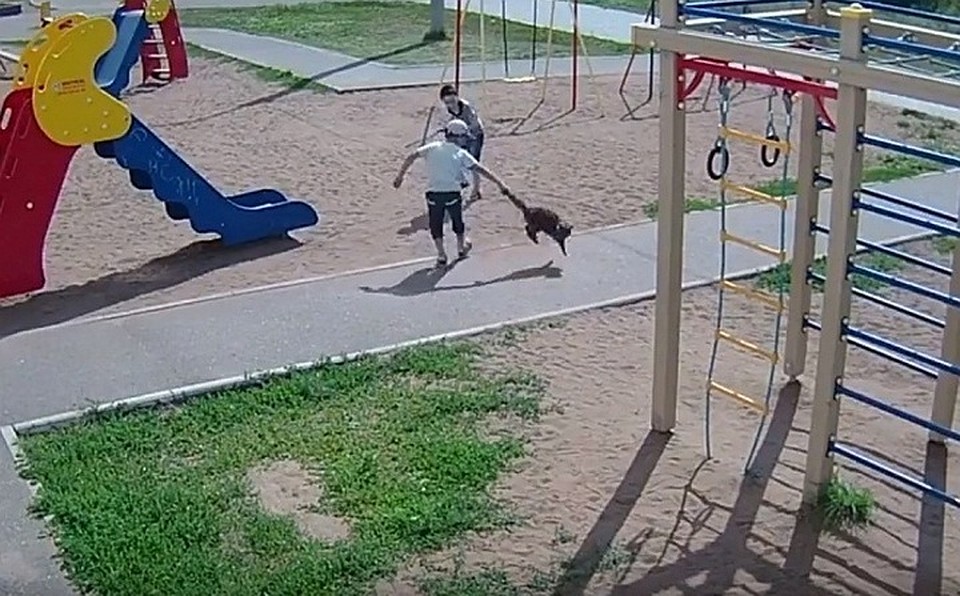 Фото: БСТ
