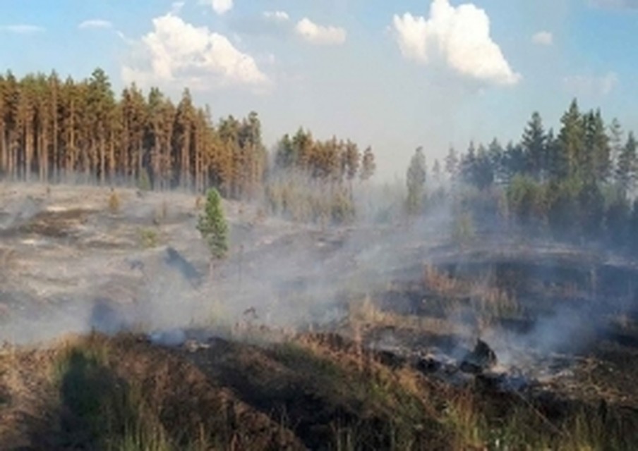 Фото: ГУ МЧС по Самарской области