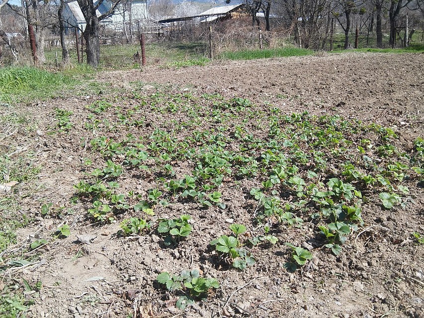 Возбуждено уголовное дело