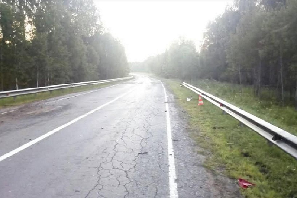 Тюменка везла в машине годовалую дочь и врезалась в корову. Фото ГИБДД Тюменской области