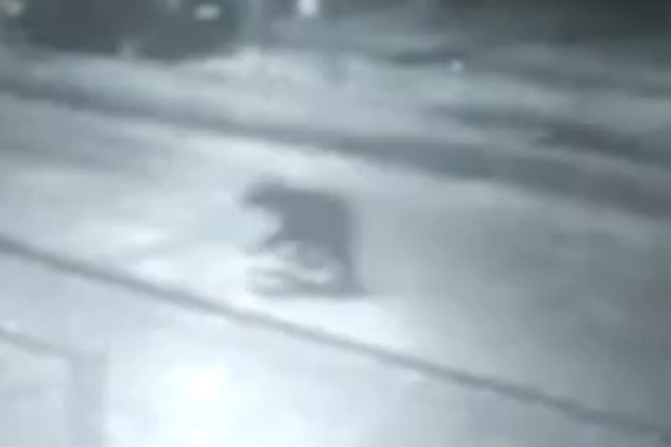 Фото: кадр с с видео в Вконтакте