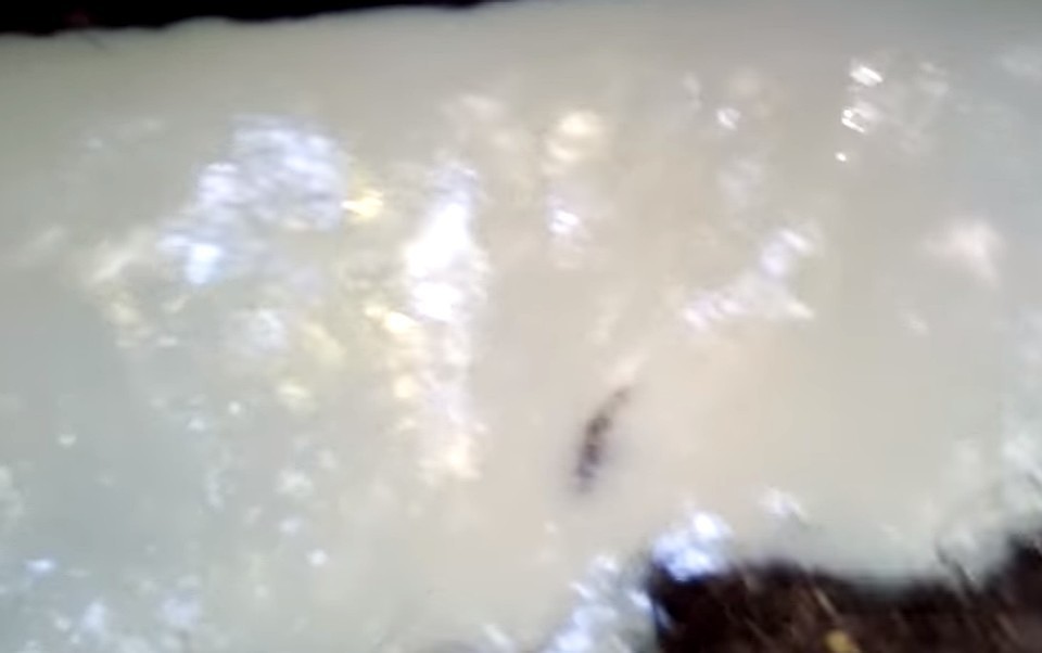 Скриншот с видео Елены Серяпиной
