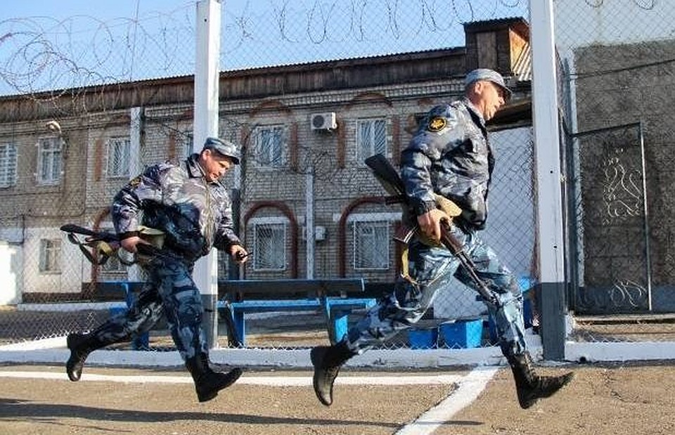 Фото: против нарушителей возбудят уголовное дело