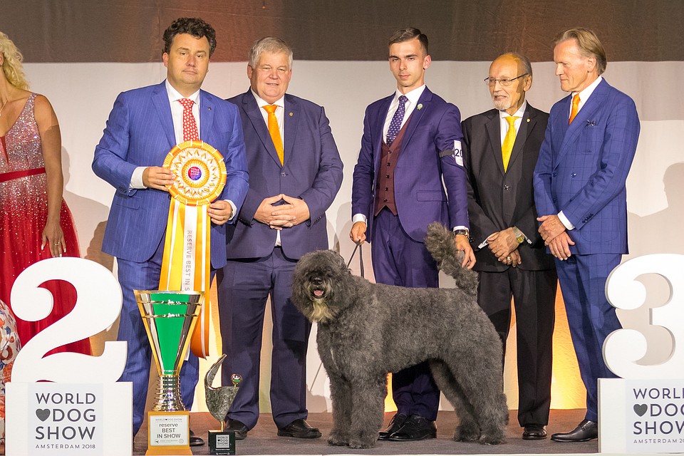 Лучшая собака I группы FCI, резервная лучшая собака выставки (Best in Show II) – фландрский бувье Family Flight Fine Chanel (заводчик и владелец Ирина Мещерякова, хендлер Стас Карпов). Фото: Наталия ФЕОФАНОВА, Олег БОЧКОВ.