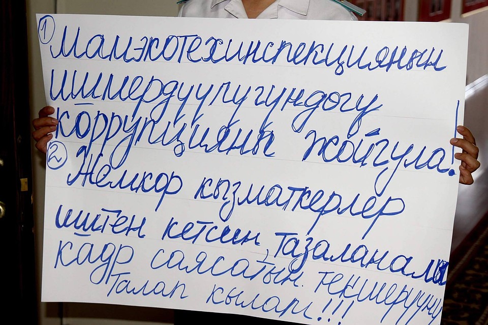 На плакате девушка написала, что необходимо очищаться от коллег-коррупционеров.