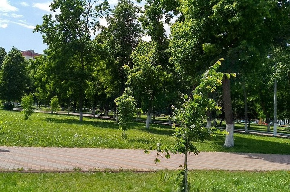 Приглашаются все желающие