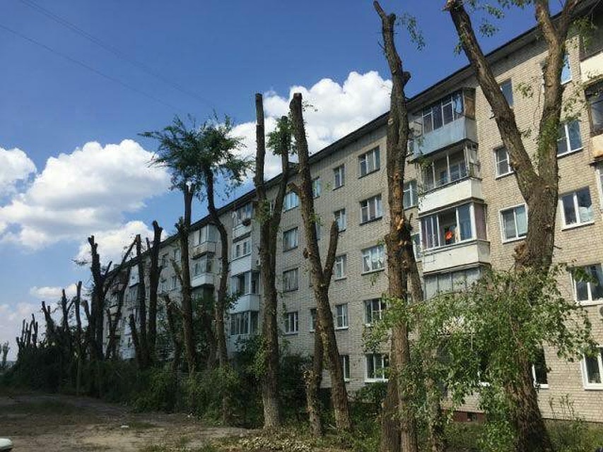фото с сайта ГЖИ Воронежской области
