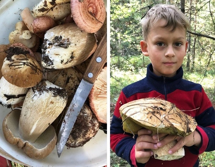 Сын Максим нашел чудо-гриб.