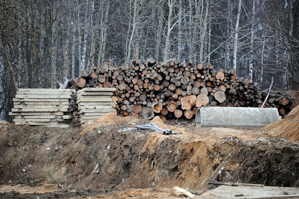 Ущерб от вырубки составил 21 миллион рублей