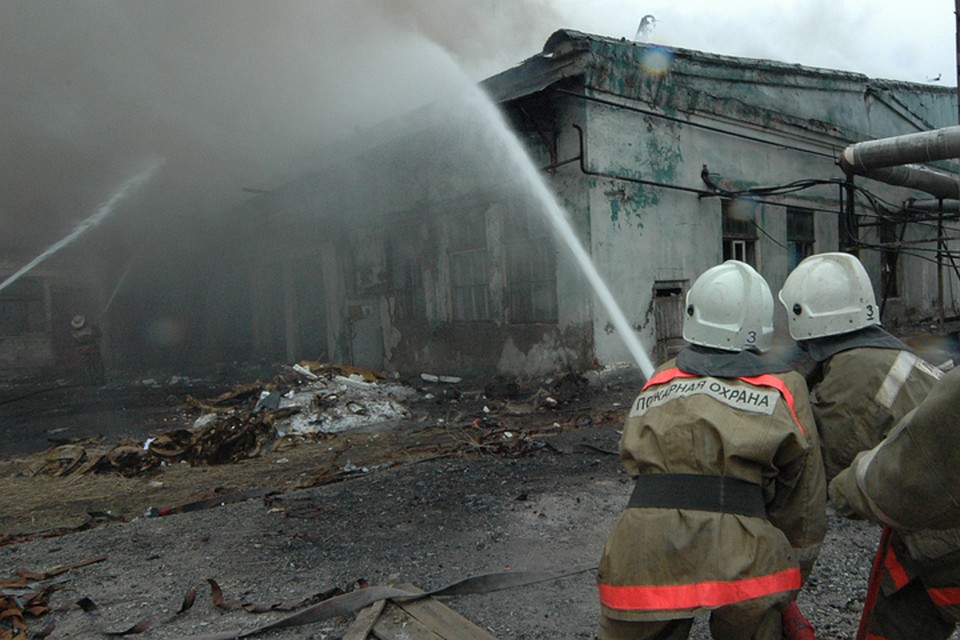 Фото: пресс-служба ГУ МЧС России по Брянской области.