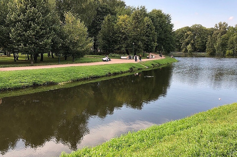 Сейчас, после обновления воды, Таврический выглядит так Фото: "Центральный район за комфортную среду обитания"