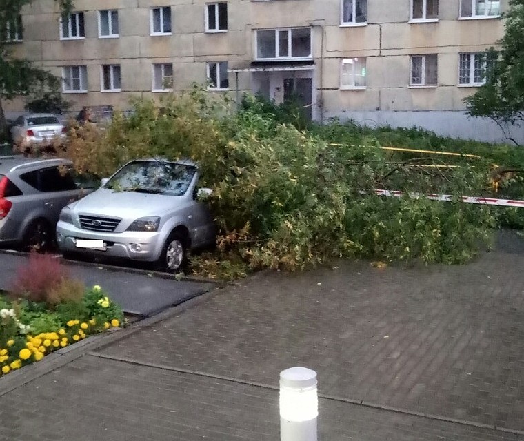 Фото: Владимир Аверкиев