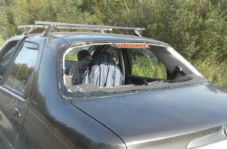 К счастью, все остались живы.