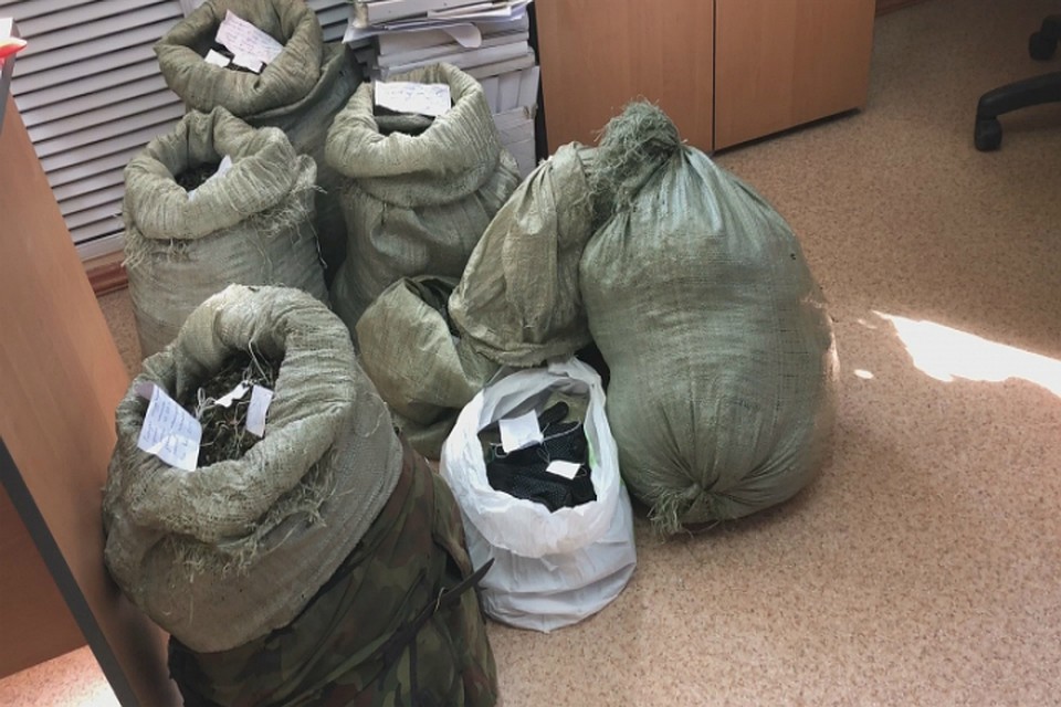 В Комсомольске полиция изъяла 13 килограммов марихуаны