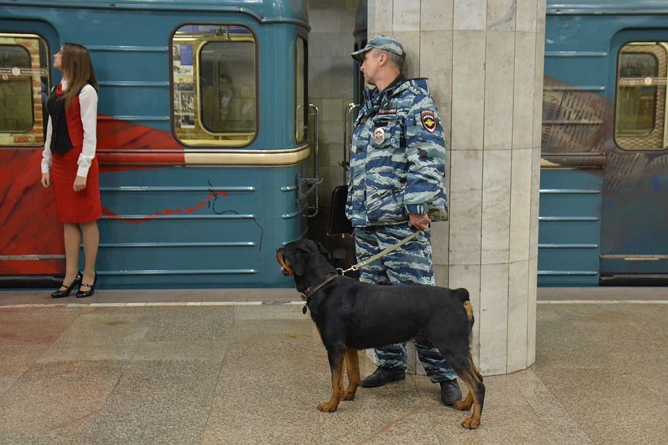 Новосибирск попал в рейтинг самых опасных городов мира.