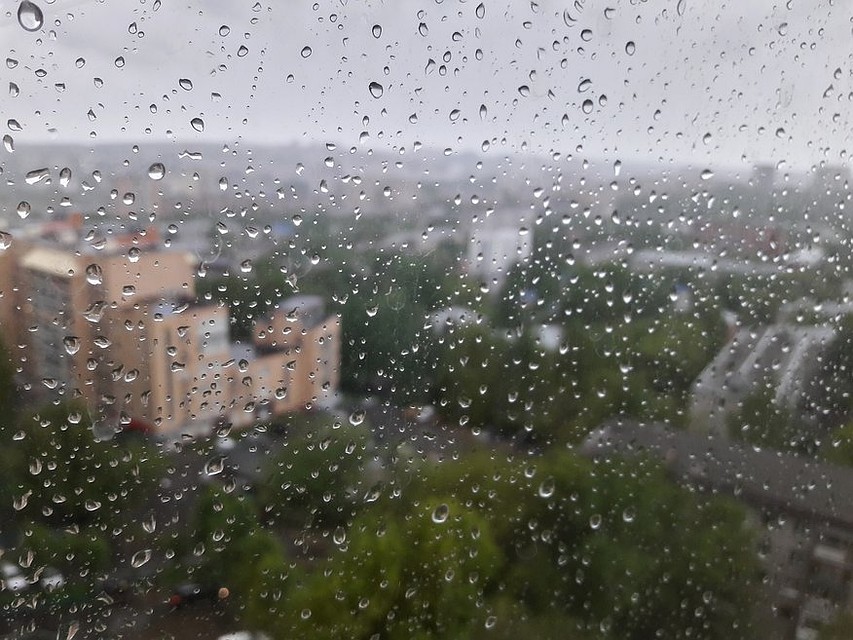 Заморозки пока не ожидаются