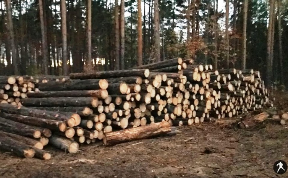 Кадр из видео (Челябинский урбанист)