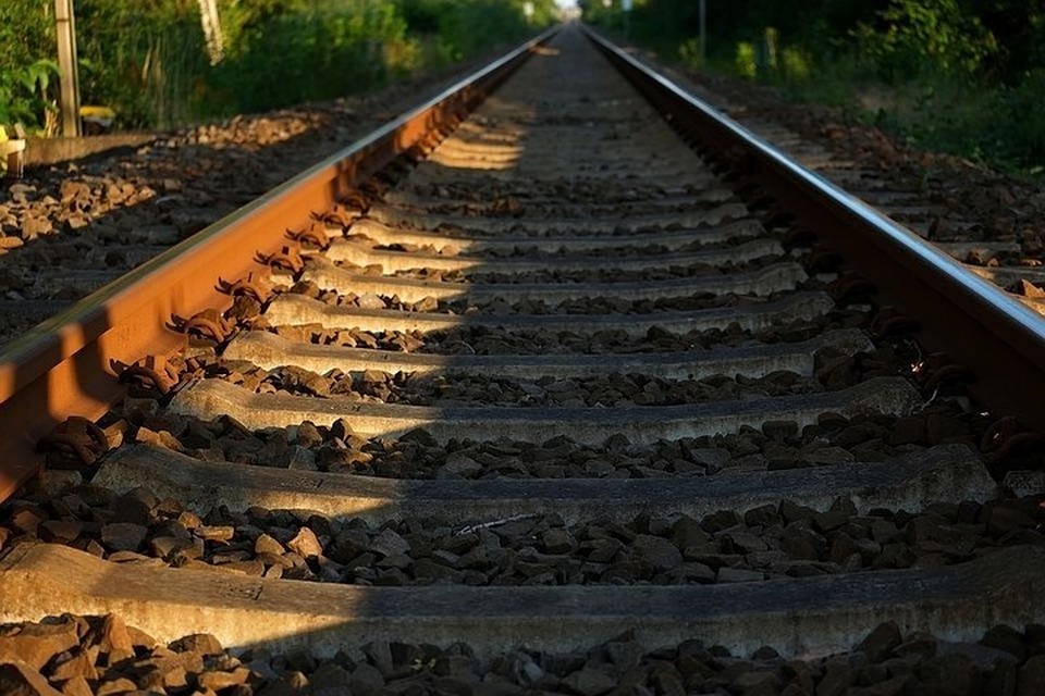 Фото: pixabay.com