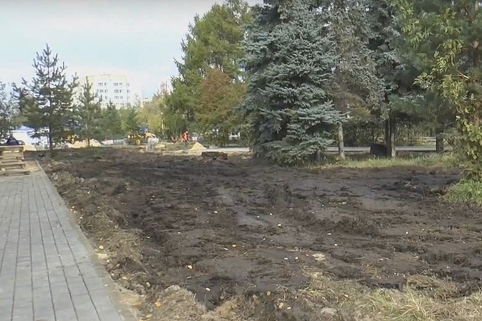 В сквере имени Грабина в Нижнем Новгороде строители копают прямо по корням деревьев. Фото:Politbook