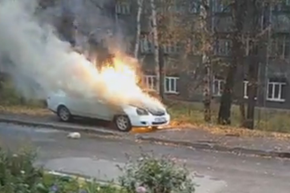 Фото: "ВКонтакте"