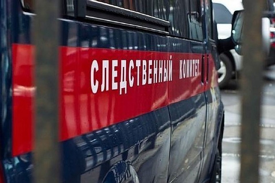 Проводится доследственная проверка