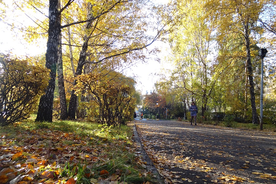В Югре сегодня тепло и солнечно