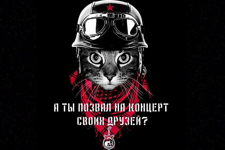 Самарцев приглашают поддержать концерт "Рок в защиту животных"