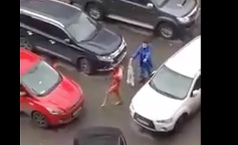 фото: скриншот видео