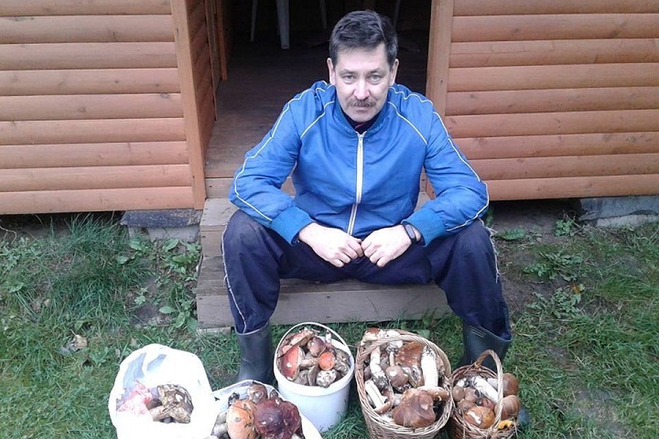Главный синоптик Петербурга рассказал, где набрал три корзины грибов. Фото: facebook.com/kammeteo