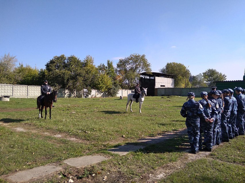 Саратовские конные полицейские
