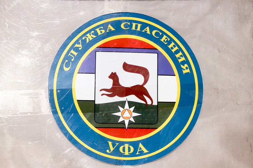 В Черниковке на уфимку с собакой упало дерево
