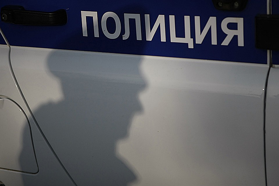 Полицейские быстро задержали по подозрению в преступлении двух юношей.