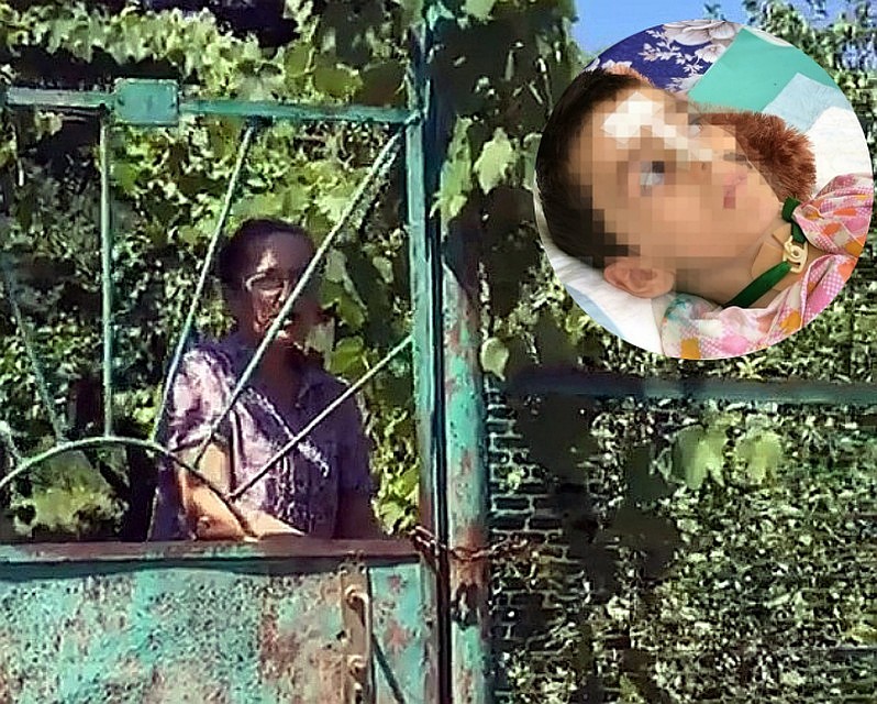 После скандала волонтерам удалось наладить конструктивный диалог с мамой Дани.