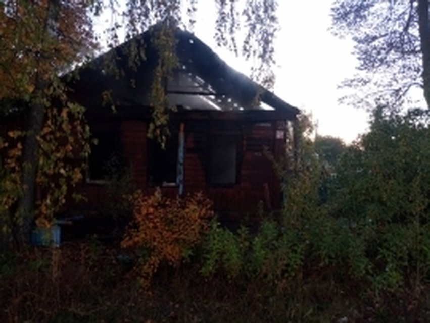 Фото: пресс-служба ГУ МЧС по Брянской области