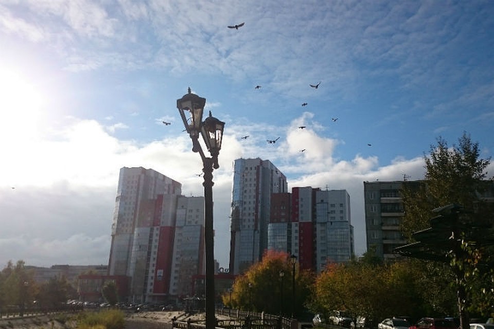 График освещения улиц представили в Красноярске.