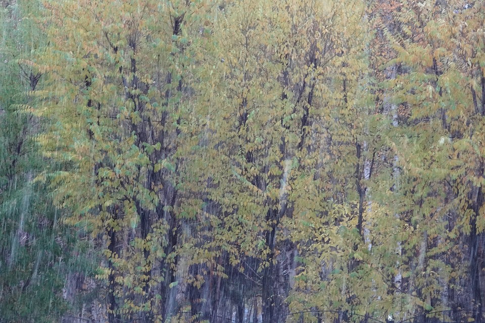 Погода в Тюмени 28 октября: грядёт похолодание