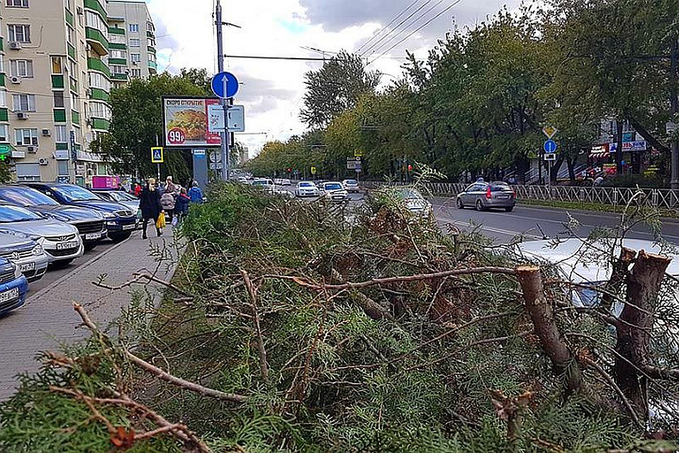 Фото: Сергей ДЕМИДОВ.