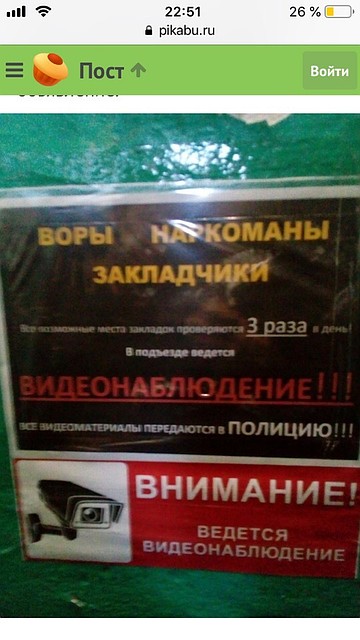 Фото: скриншот с сайта «Пикабу».