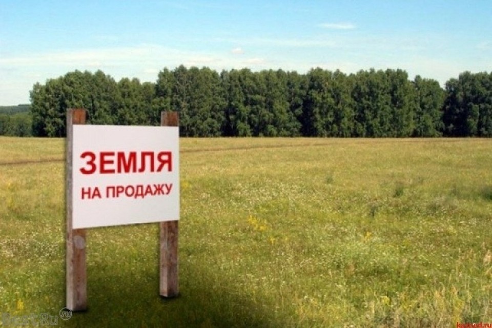 Фото: https://lentachel.ru/
