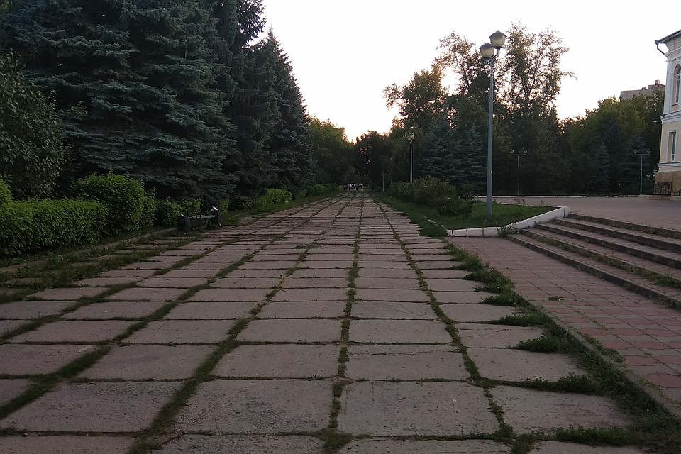 Липчане просят обустроить аллею в Верхнем парке