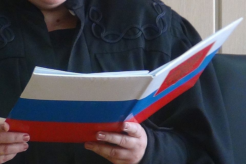 В России 23-летнюю уроженку Молдовы обвиняют сразу же по нескольким эпизодам мошенничества.