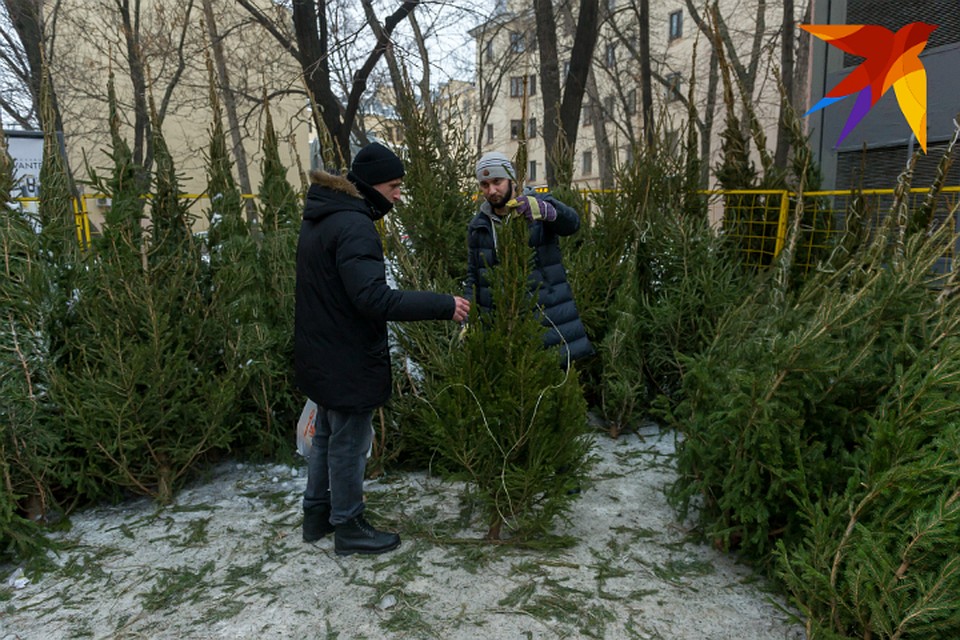 Елочные базары в Омске откроют уже в декабре.