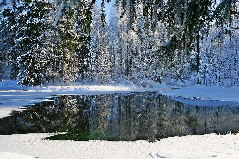 Фото: pixabay.com