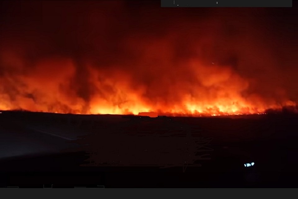 Под Тюменью сгорело поле с сухостоем. Фото vk.com