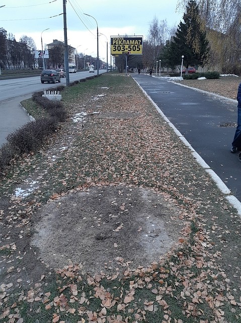 Фото: движение "Граждане Орла"
